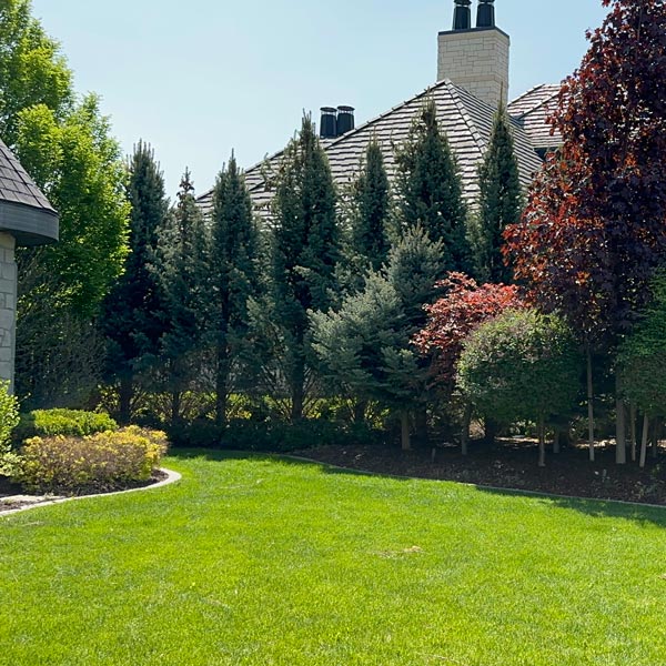 Comprehensive Lawn Care Maintenance in South Jordan