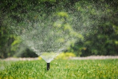 A sprinkler spraying grass by Thrive Landscape Services