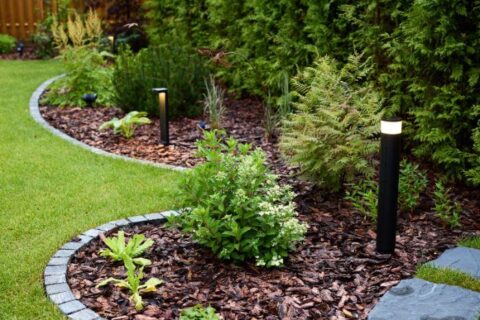 Greenery, lighting and mulch improving curb appeal by Thrive Landscape Services