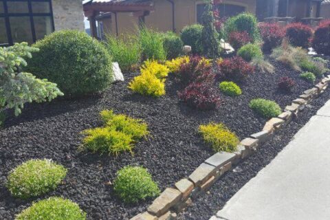 Xeriscaping by a curb by Thrive Landscape Services
