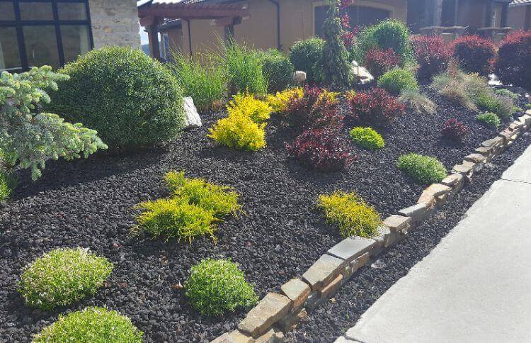 Xeriscaping by a curb by Thrive Landscape Services