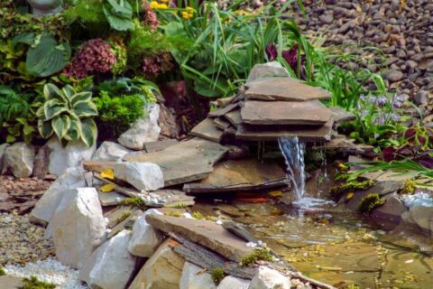 Outdoor water feature surrounded by rocks and plants by Thrive Landscape Services