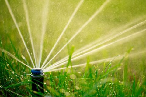 A sprinkler spraying water on grass by Thrive Landscape Service